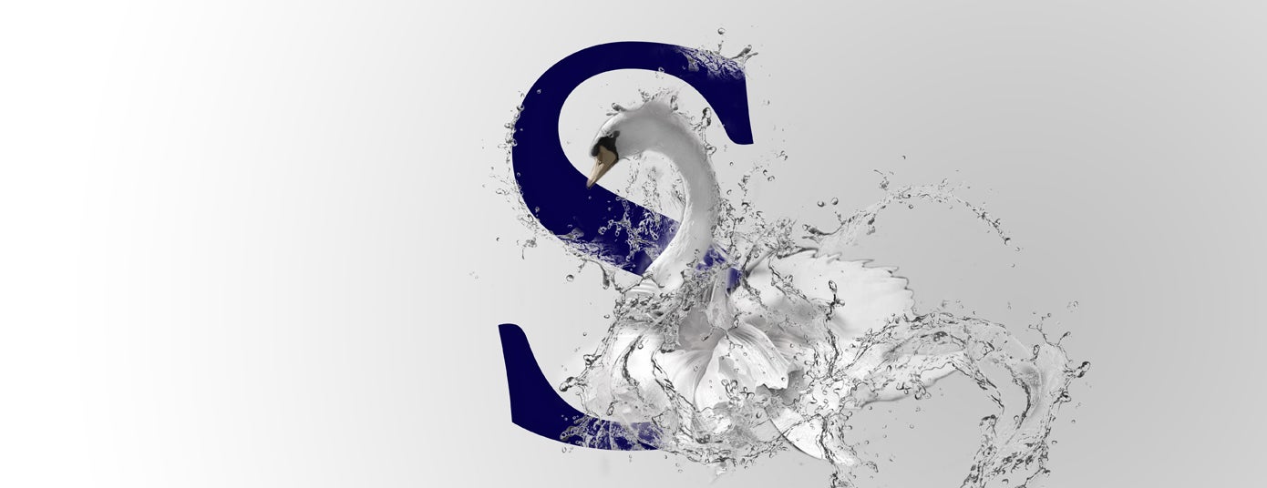 SwanLake_AXS_1390x536.jpg