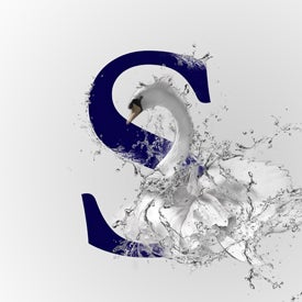 SwanLake_AXS_275x275.jpg